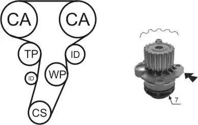 Airtex WPK-177406 - Pompe à eau + kit de courroie de distribution cwaw.fr