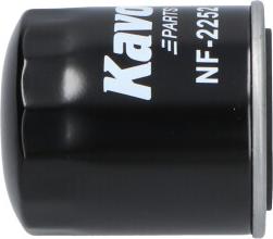 AMC Filter NF-2252 - Filtre à carburant cwaw.fr