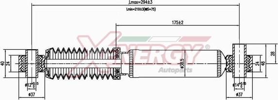 AP XENERGY X101341 - Amortisseur cwaw.fr