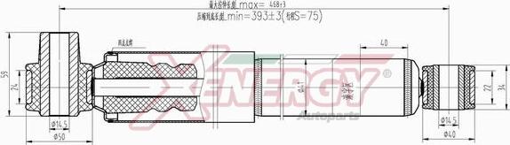 AP XENERGY X804551 - Amortisseur cwaw.fr