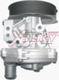 AP XENERGY X204332 - Pompe à eau cwaw.fr