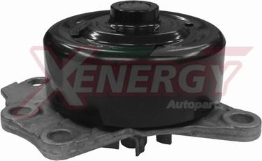 AP XENERGY X205842 - Pompe à eau cwaw.fr