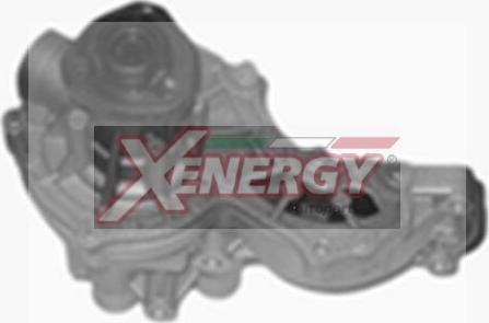 AP XENERGY X205822 - Pompe à eau cwaw.fr