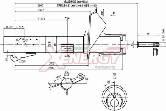 AP XENERGY X760333 - Amortisseur cwaw.fr