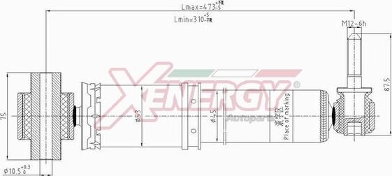 AP XENERGY X704344 - Amortisseur cwaw.fr