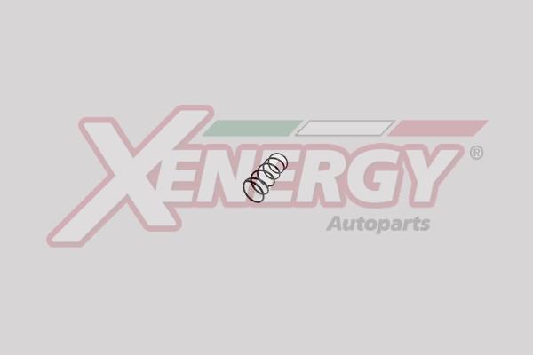 AP XENERGY XSA6317 - Ressort de suspension cwaw.fr