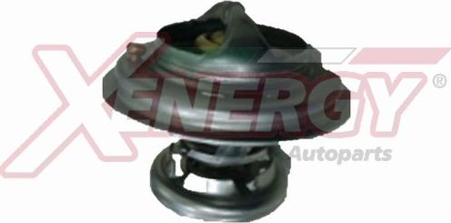 AP XENERGY XT5699 - Thermostat d'eau cwaw.fr