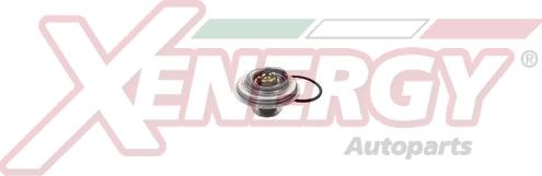 AP XENERGY XT5111.88 - Thermostat d'eau cwaw.fr