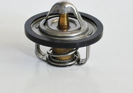 ASAM 30654 - Thermostat d'eau cwaw.fr