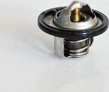 ASAM 30653 - Thermostat d'eau cwaw.fr