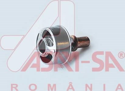 ASAM 32677 - Thermostat d'eau cwaw.fr