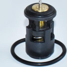 ASAM 73343 - Thermostat d'eau cwaw.fr