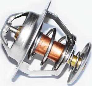 ASAM 73367 - Thermostat d'eau cwaw.fr