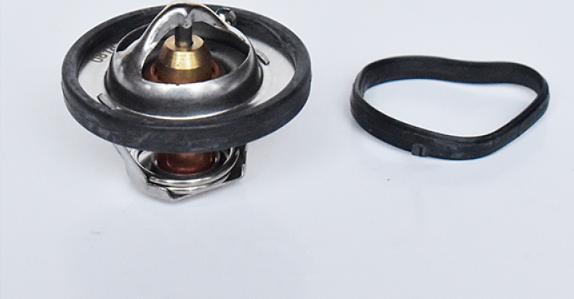 ASAM 73379 - Thermostat d'eau cwaw.fr