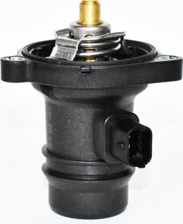 ASAM 77174 - Thermostat d'eau cwaw.fr