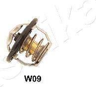 Ashika 38-0W-W09 - Thermostat d'eau cwaw.fr