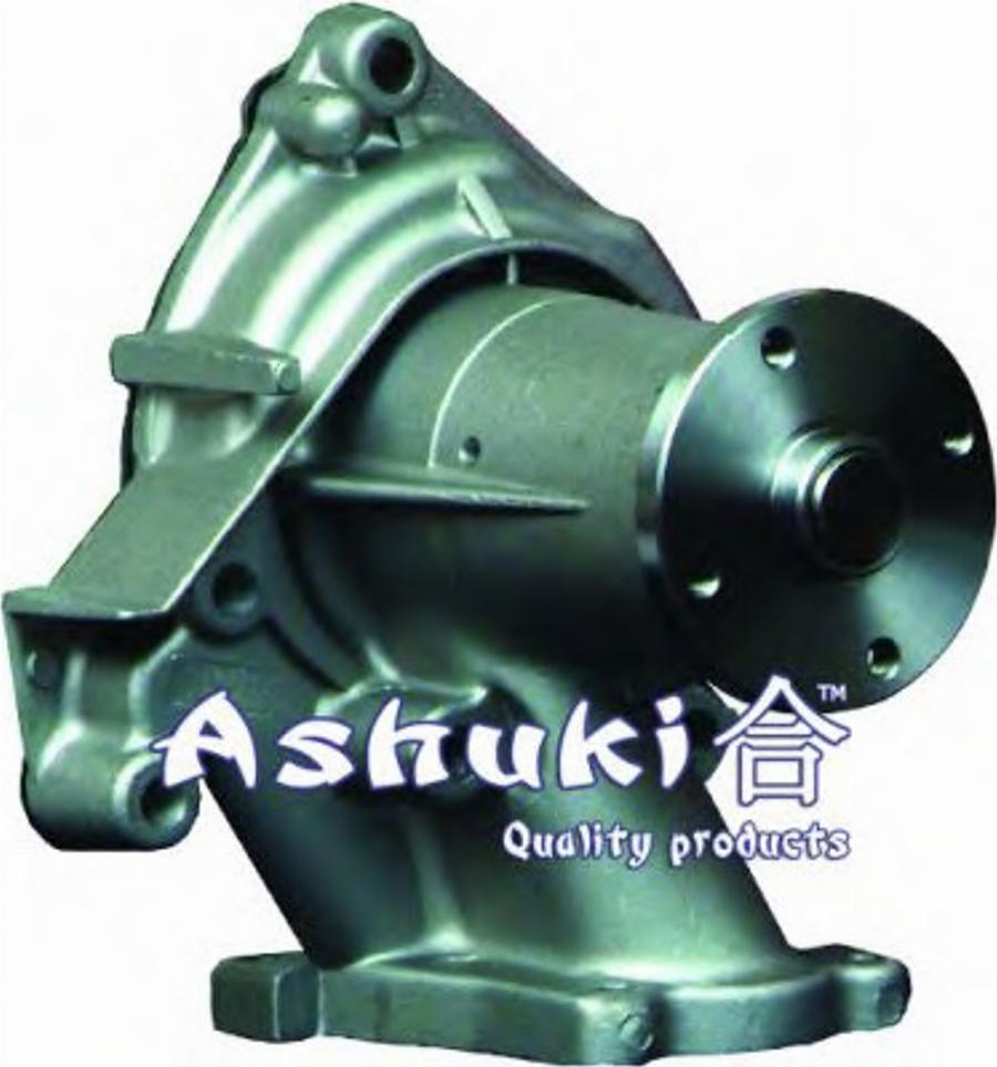 Ashuki 04539501 - Pompe à eau cwaw.fr