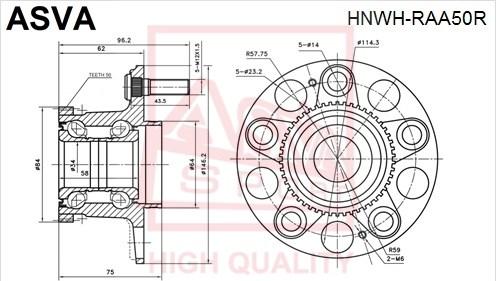 ASVA HNWH-RAA50R - Moyeu de roue cwaw.fr