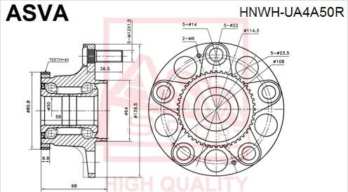 ASVA HNWH-UA4A50R - Moyeu de roue cwaw.fr