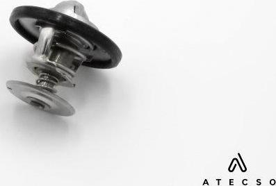 ATECSO TRM00170 - Thermostat d'eau cwaw.fr