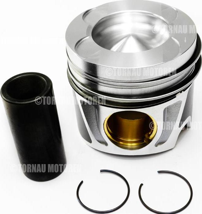 ATMMotoren 10007389 - Piston cwaw.fr