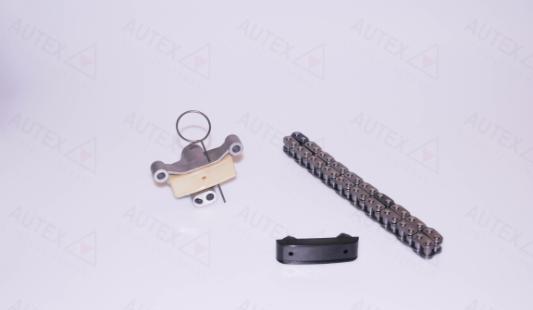 Autex 711139 - Kit de distribution par chaîne cwaw.fr