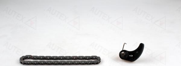 Autex 711376 - Kit de chaînes, commade de pompe à huile cwaw.fr