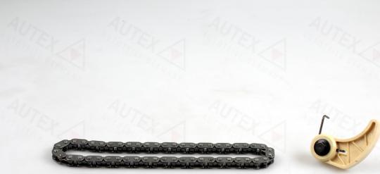 Autex 711377 - Kit de chaînes, commade de pompe à huile cwaw.fr