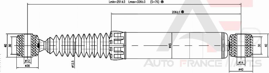 AUTO FRANCE PARTS 15-1007C - Amortisseur cwaw.fr