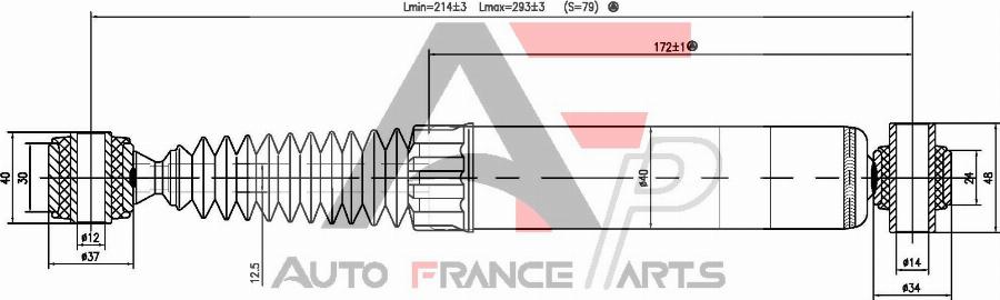 AUTO FRANCE PARTS 15-1023C - Amortisseur cwaw.fr