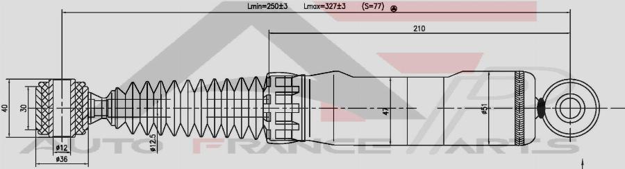 AUTO FRANCE PARTS 15-2012C - Amortisseur cwaw.fr