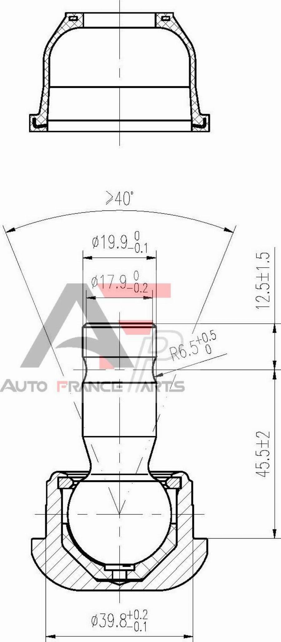 AUTO FRANCE PARTS 11-0019C - Rotule de suspension cwaw.fr