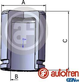 AUTOFREN SEINSA D025231 - Piston, étrier de frein cwaw.fr