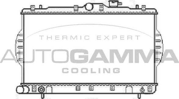 Autogamma 104062 - Radiateur, refroidissement du moteur cwaw.fr