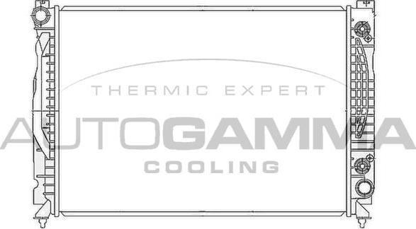 Autogamma 105483 - Radiateur, refroidissement du moteur cwaw.fr