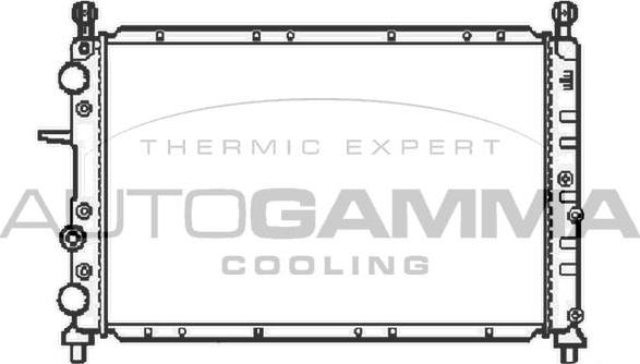 Autogamma 100017 - Radiateur, refroidissement du moteur cwaw.fr