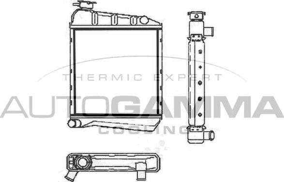 Autogamma 100075 - Radiateur, refroidissement du moteur cwaw.fr