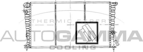 Autogamma 100160 - Radiateur, refroidissement du moteur cwaw.fr