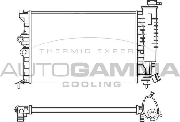 Autogamma 100203 - Radiateur, refroidissement du moteur cwaw.fr