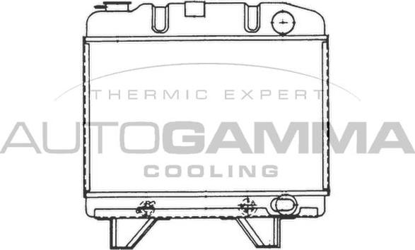 Autogamma 100786 - Radiateur, refroidissement du moteur cwaw.fr