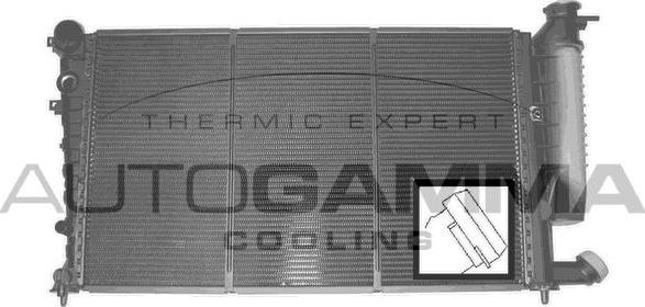 Autogamma 101313 - Radiateur, refroidissement du moteur cwaw.fr