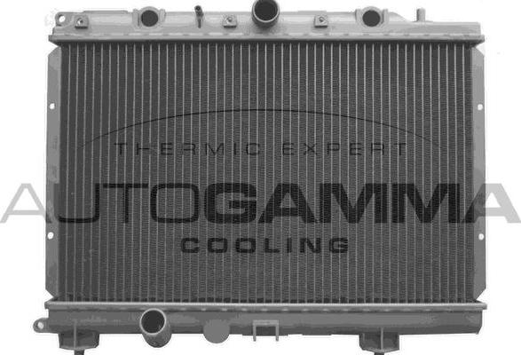 Autogamma 102943 - Radiateur, refroidissement du moteur cwaw.fr