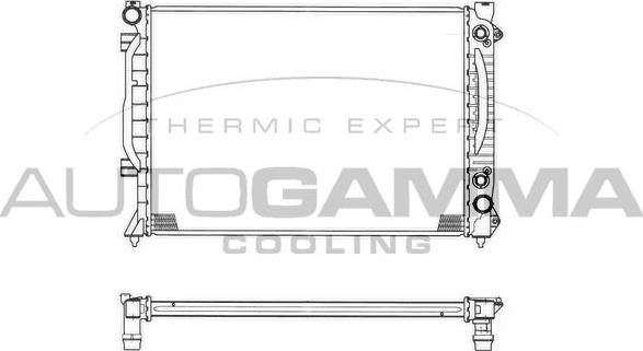 Autogamma 102029 - Radiateur, refroidissement du moteur cwaw.fr