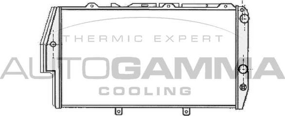 Autogamma 102026 - Radiateur, refroidissement du moteur cwaw.fr