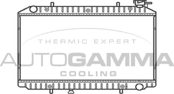 Autogamma 102199 - Radiateur, refroidissement du moteur cwaw.fr