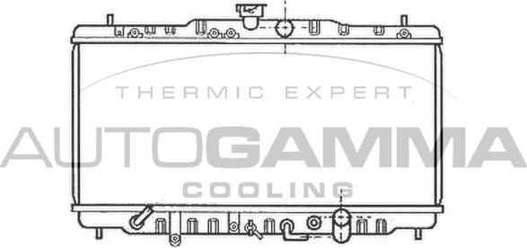 Autogamma 102119 - Radiateur, refroidissement du moteur cwaw.fr