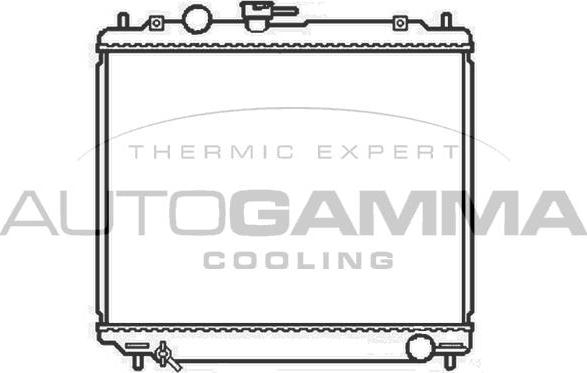 Autogamma 102872 - Radiateur, refroidissement du moteur cwaw.fr