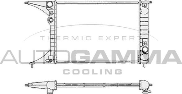 Autogamma 102248 - Radiateur, refroidissement du moteur cwaw.fr