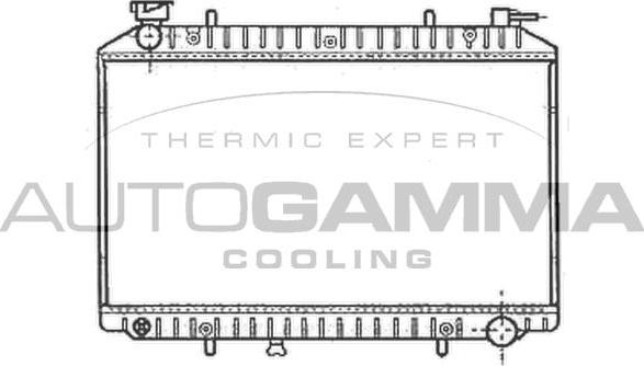 Autogamma 102205 - Radiateur, refroidissement du moteur cwaw.fr