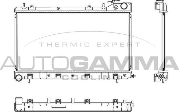 Autogamma 107537 - Radiateur, refroidissement du moteur cwaw.fr